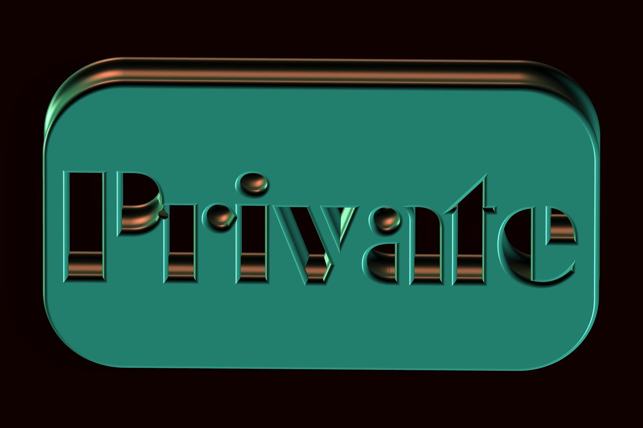 Privacy Shield gekippt I